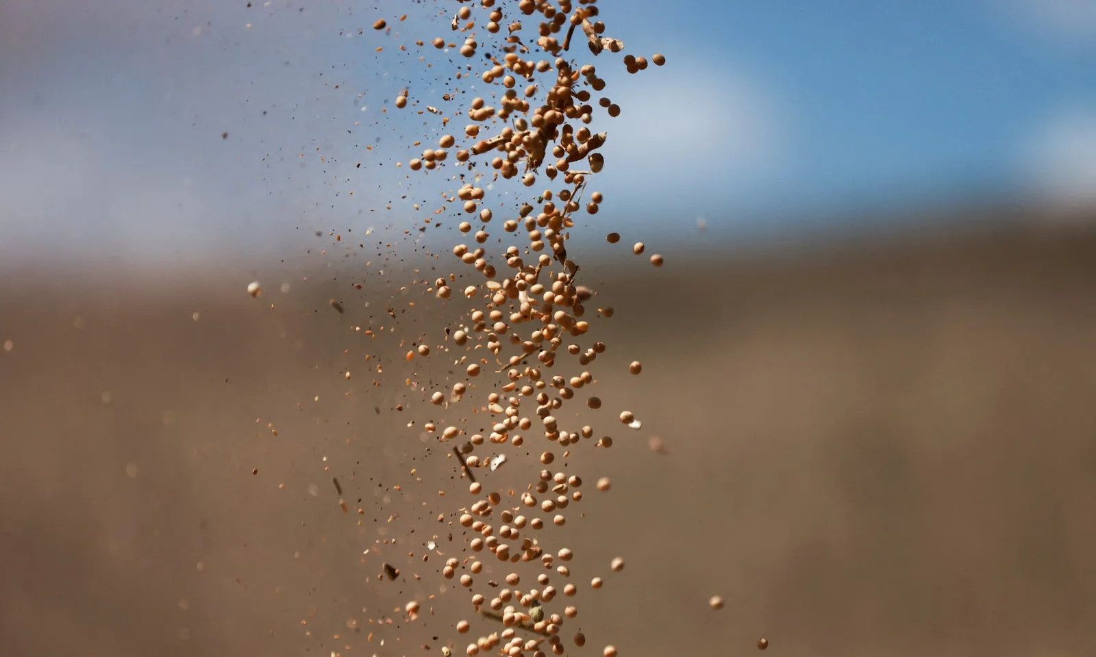 Brazil lập kỷ lục mới về xuất khẩu đậu nành nhờ thị trường Trung Quốc