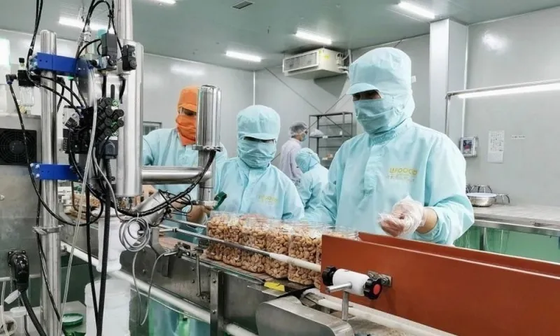 Thủ tướng yêu cầu doanh nghiệp Nhà nước khẩn trương báo cáo kết quả kinh doanh