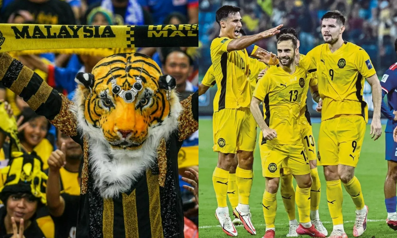 Fan Malaysia quay lưng với ĐTQG: Chúng ta đã bị lừa dối