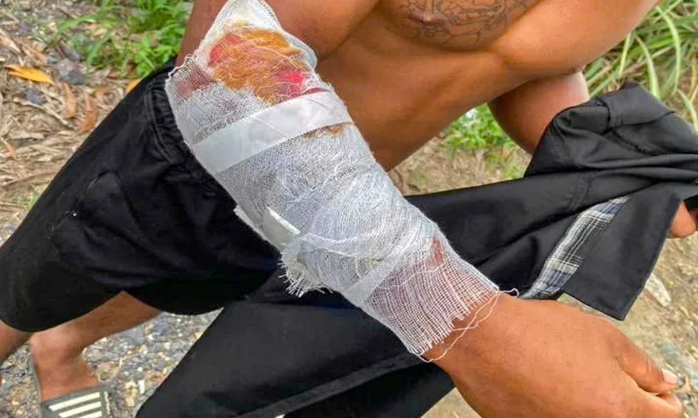 Khu du lịch ở Khánh Hòa bị điều tra vì để cá sấu thoát ra ngoài