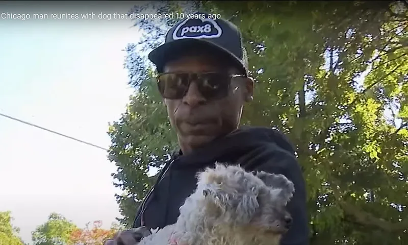 Chú chó mất tích được tìm thấy sau 10 năm lưu lạc