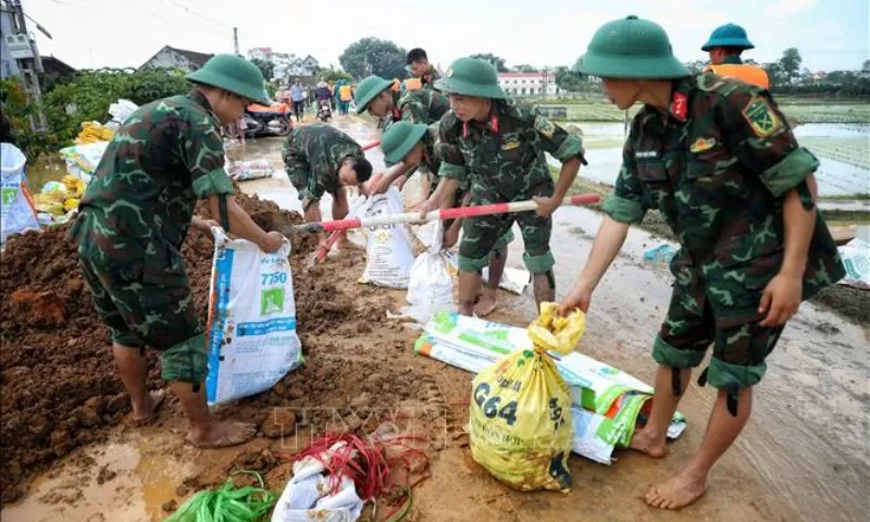 vu-trang-09102025-01