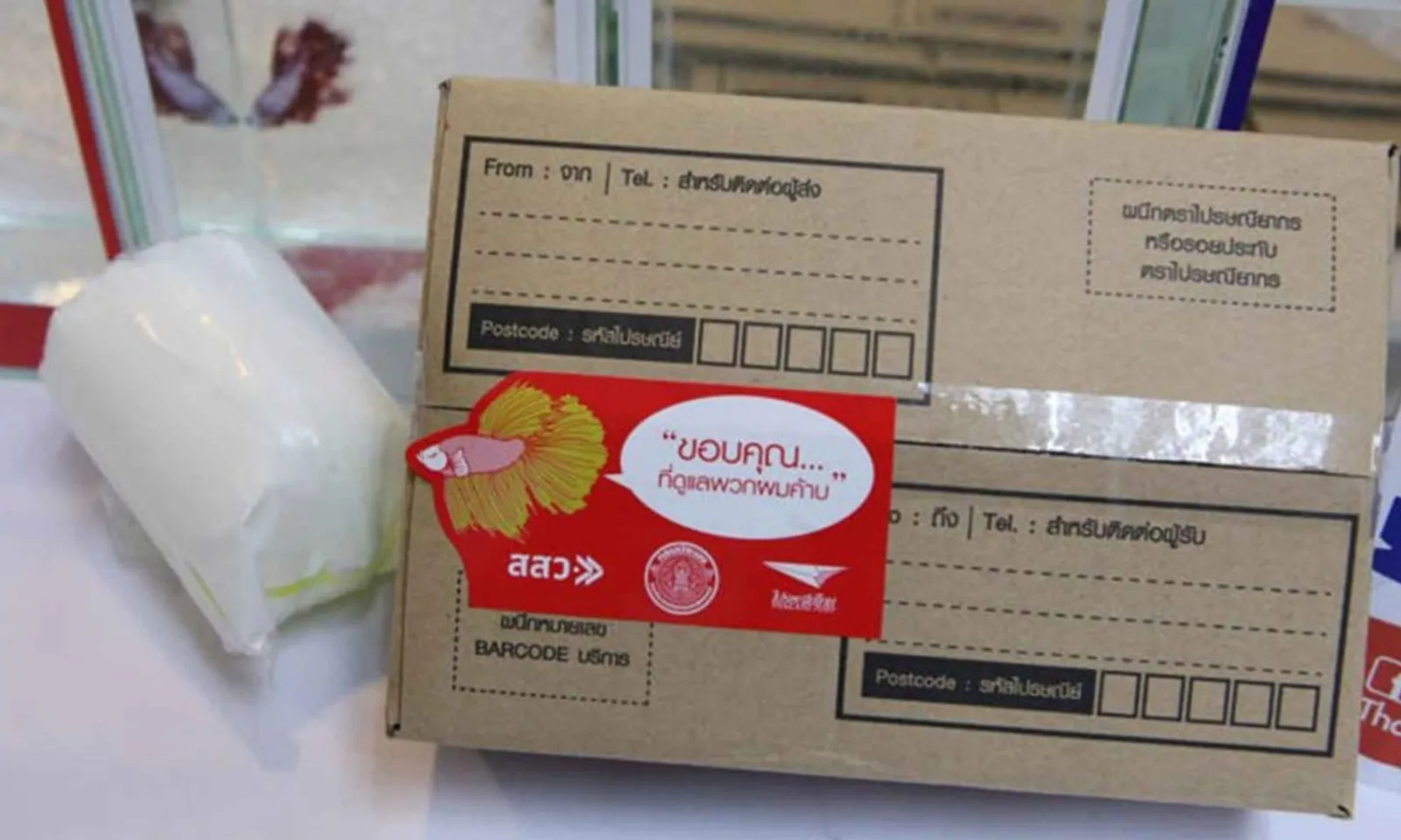 Bưu điện Thái Lan triển khai dịch vụ giao cá cảnh toàn cầu