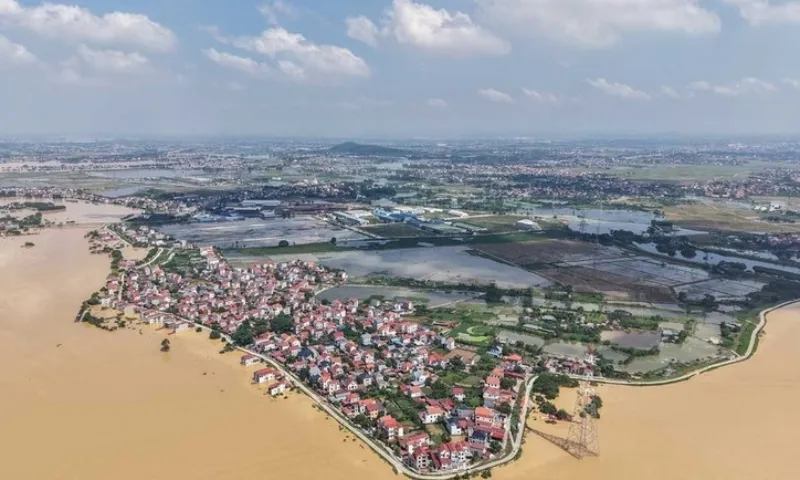 Thien tai 2025