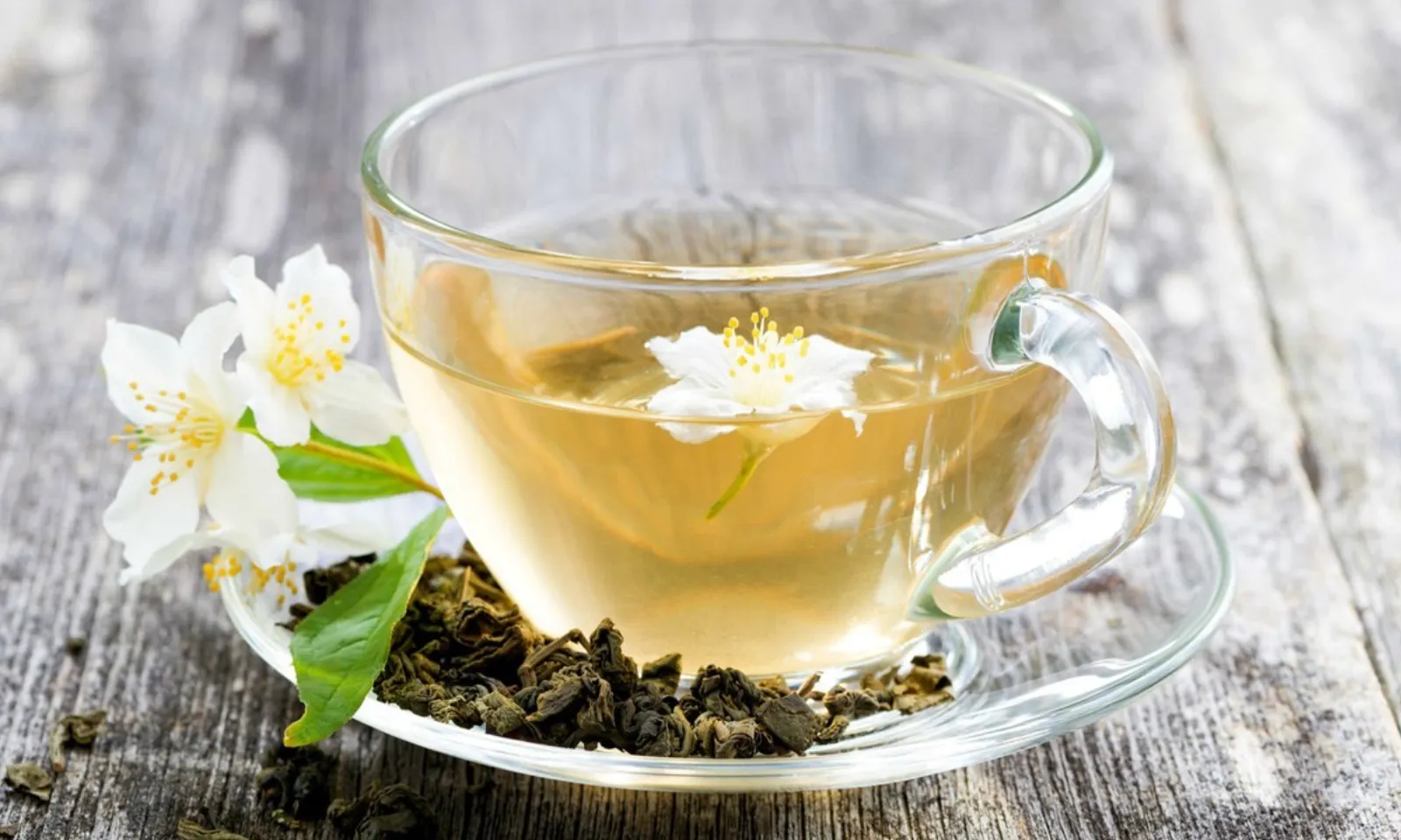 Những lợi ích của trà hoa nhài đối với sức khỏe – Hình 1