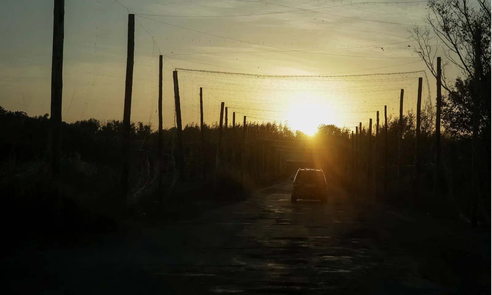 Ukraine sơ tán khẩn cấp hàng trăm gia đình gần thành phố Kupiansk