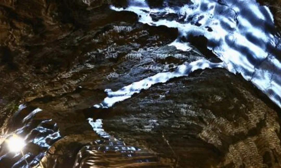 Đánh thức vi sinh vật 40.000 năm tuổi dưới lớp băng vĩnh cửu Alaska