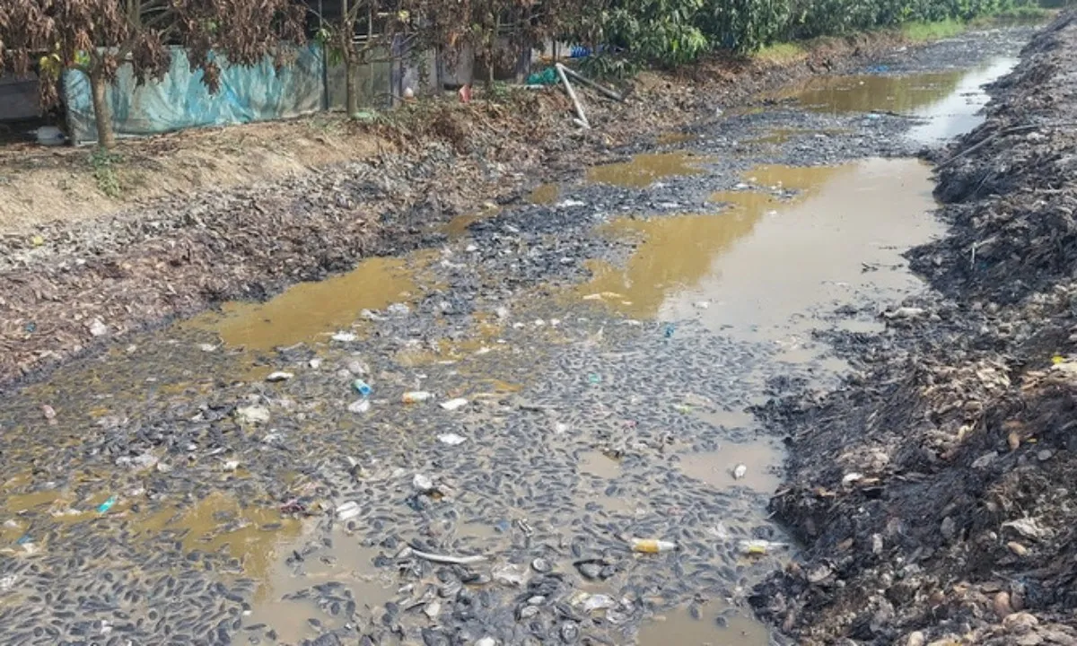 Hưng Yên phạt 300 triệu vụ chôn lấp trái phép 50 tấn phế thải xây dựng