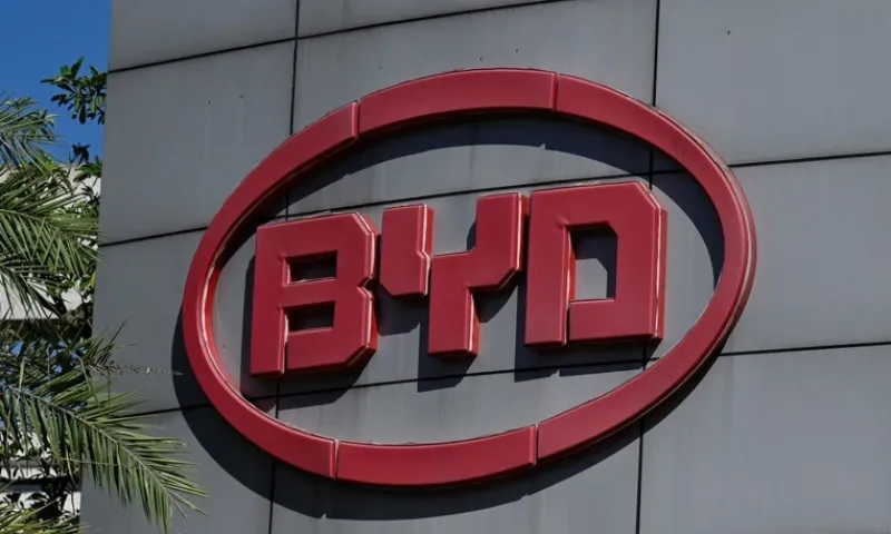 BYD 2025