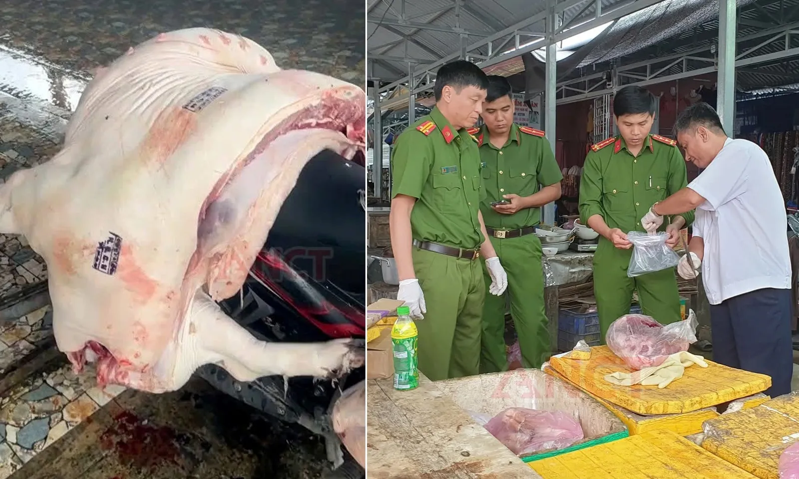 Phát hiện tiểu thương bán thịt nhiễm tả heo châu Phi được đóng dấu kiểm dịch