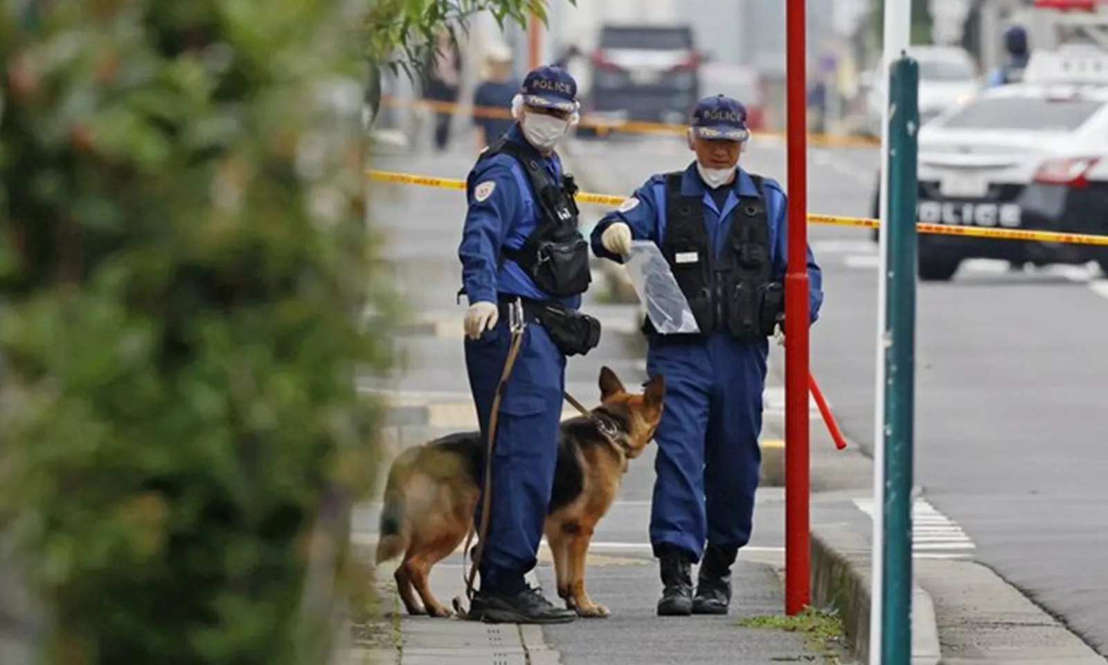 Cựu nhân viên viện dưỡng lão bị bắt vì sát hại cụ bà 89 tuổi