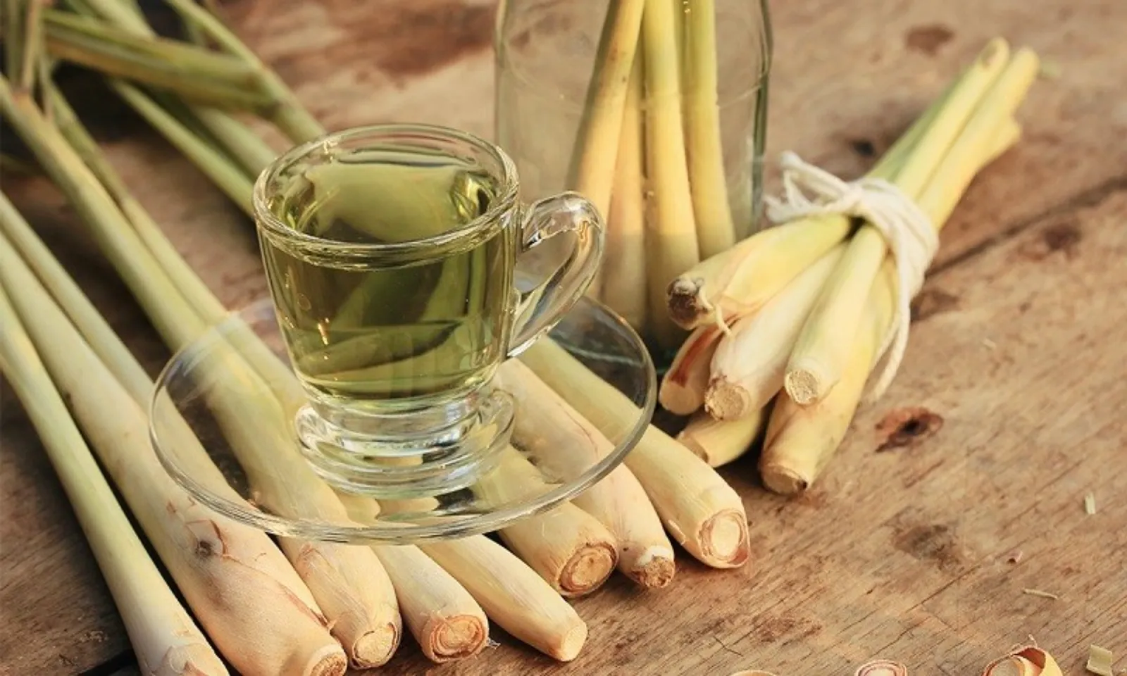 Những lợi ích từ cây sả đối với sức khỏe