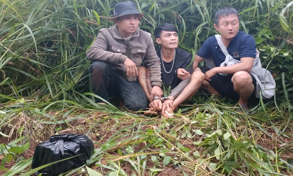 Bắt đối tượng giấu 800g heroin trong rẫy cà phê ở Đắk Lắk