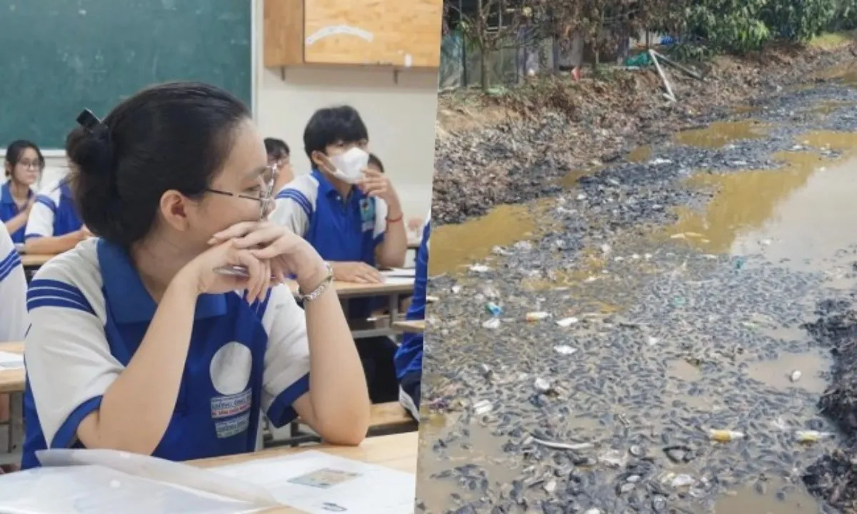 Điểm tin sáng 17/10: Hướng đến 100% học sinh học trong môi trường số | Chôn lấp 47 tấn chất thải