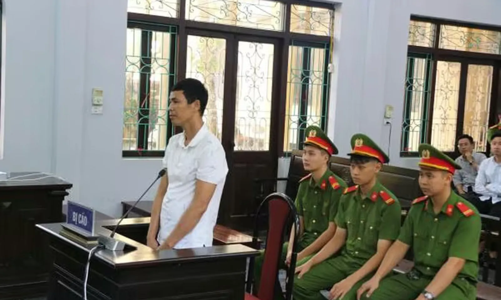 Người nuôi 13 con gà lôi trắng được miễn trách nhiệm hình sự