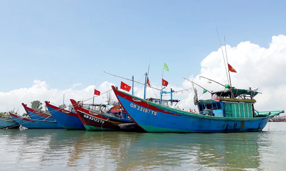 images815504_nh_t_u_thuy_n