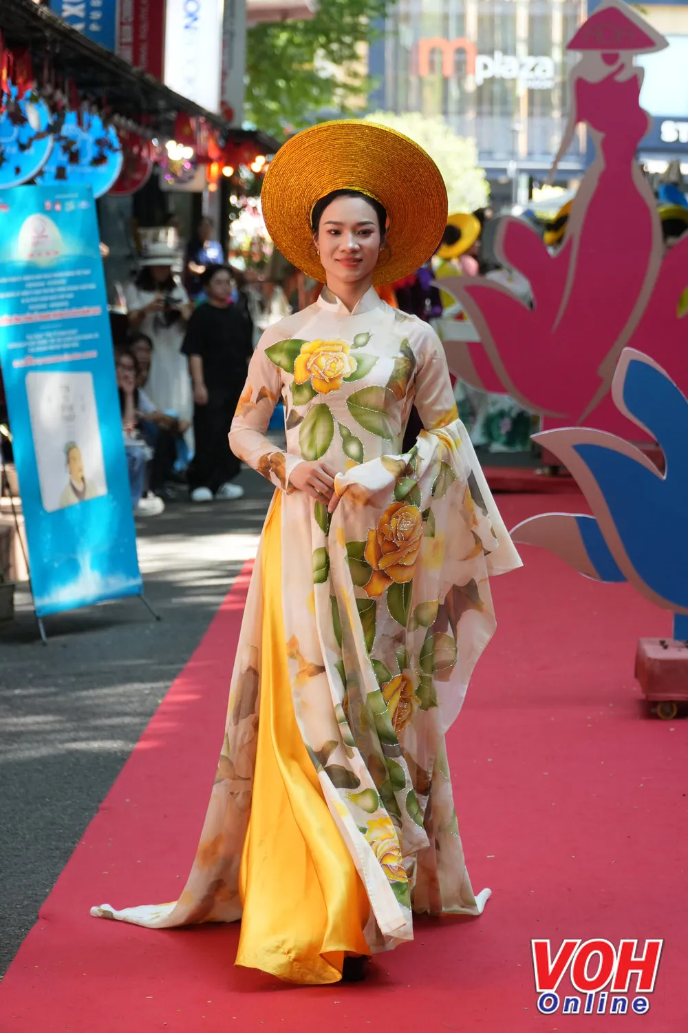 DSC06536_voh