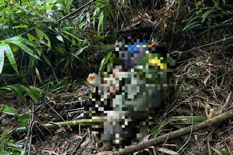 Z7132212714220_Bf4a4