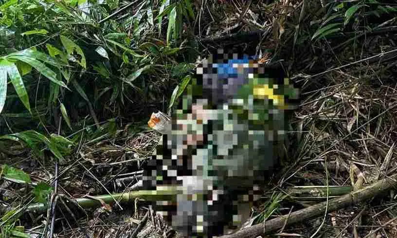 Điều tra vụ người đàn ông nghi bị voi rừng tấn công tử vong ở Đắk Wil