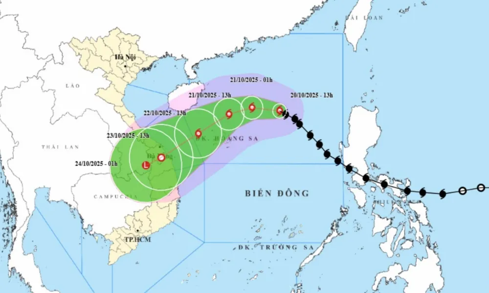 dbqg_xtnd_20251020_1400