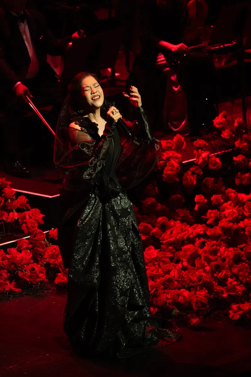 VOH-Ha-Anh-Tuan-DSC_4894 copy