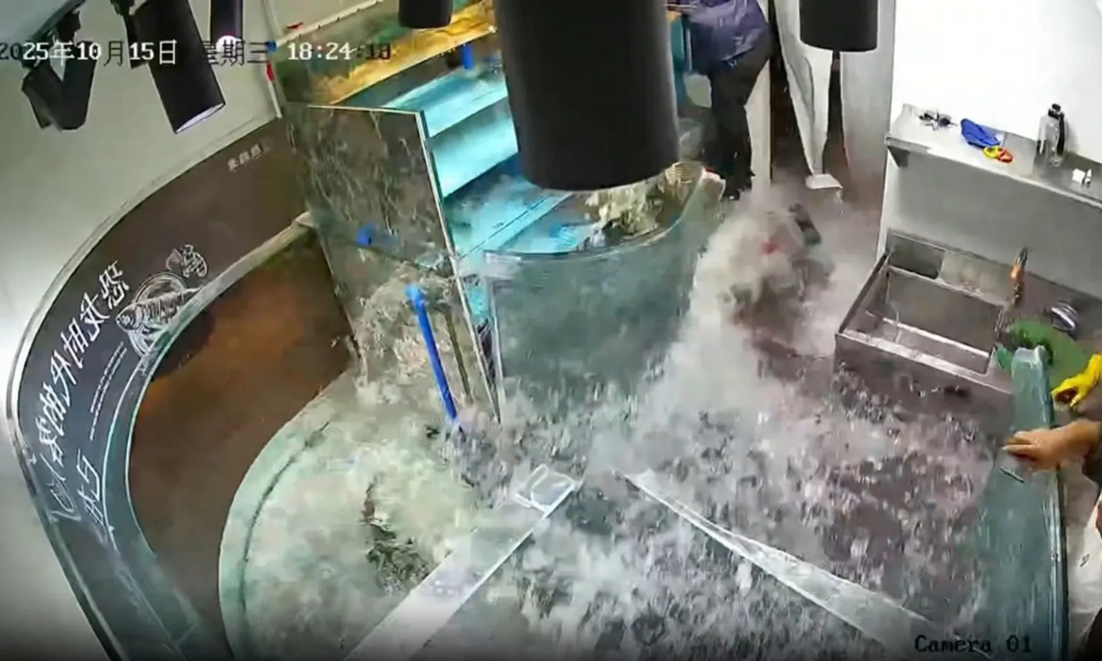 Bể cá khổng lồ phát nổ tại nhà hàng Trung Quốc