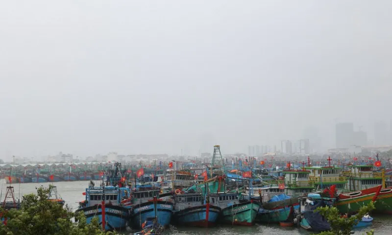 da-nang-au-thuyen-tho-quang-tranh-tru-bao