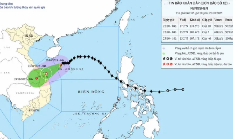 Bão số 12 giật cấp 12