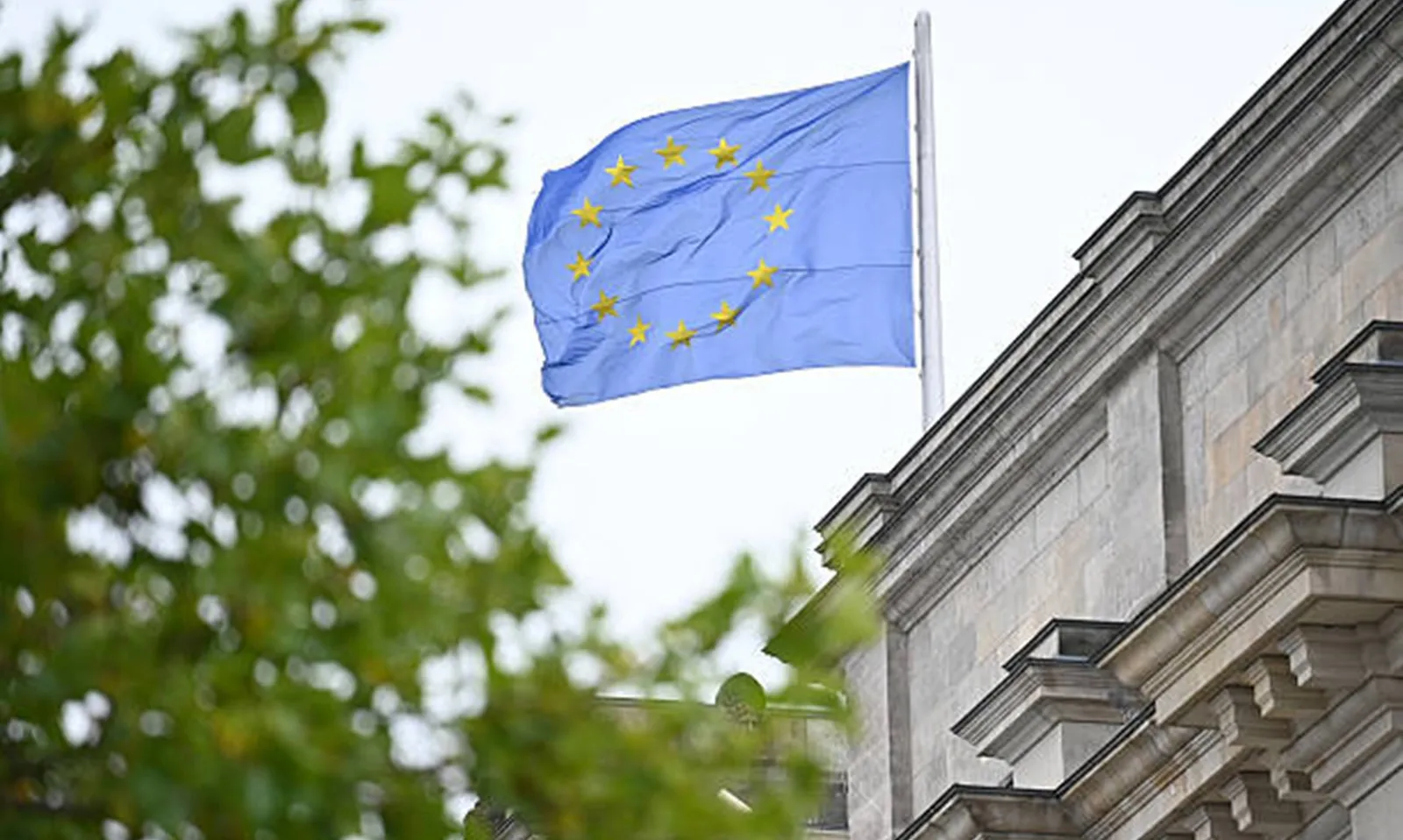 EU đề xuất nới lỏng Luật chống phá rừng, giảm gánh nặng cho nông hộ và doanh nghiệp nhỏ