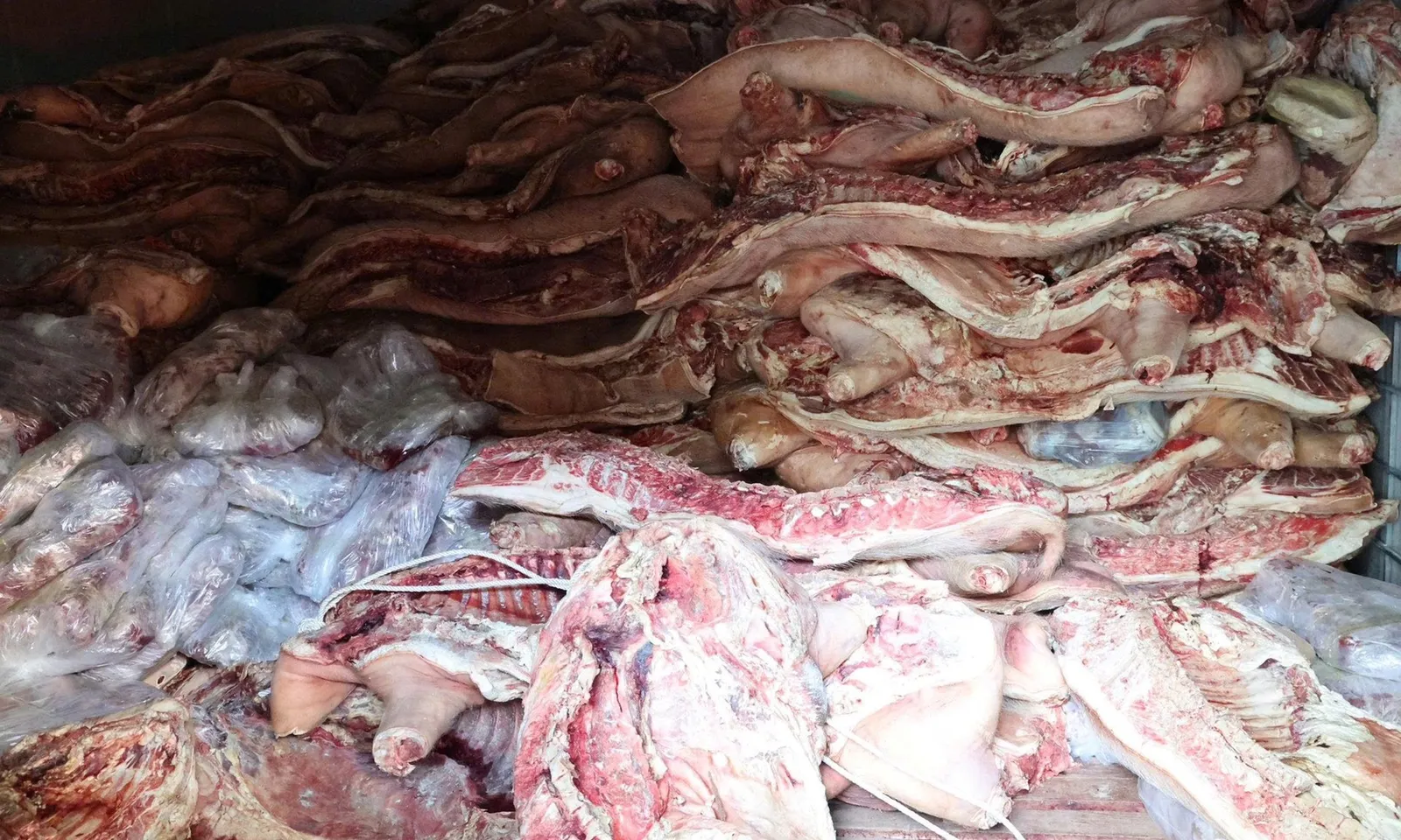 Bắt đối tượng trữ đông gần 38 tấn thịt nhiễm dịch tả heo Châu Phi để tuồn ra thị trường