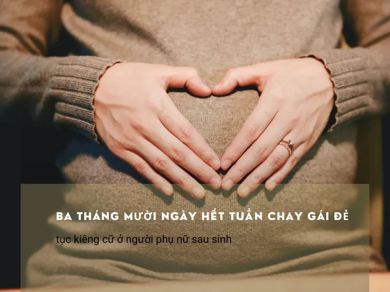 tucngu-thanh-ngu-sinhno
