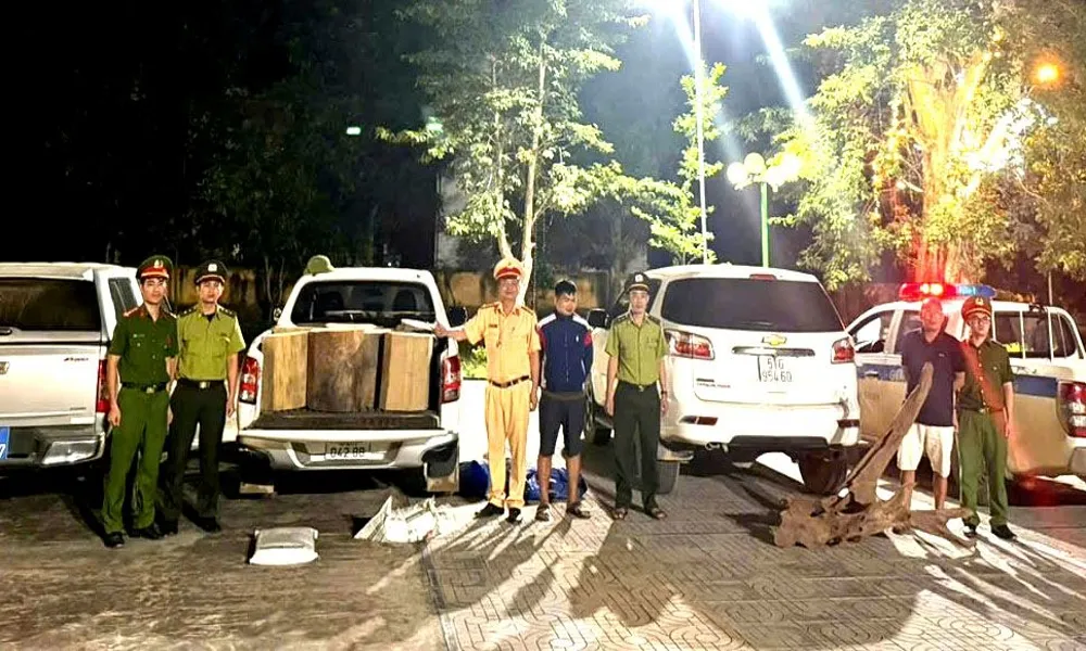 Phát hiện ô tô vận chuyển gỗ lậu giữa đêm tại Thanh Hóa