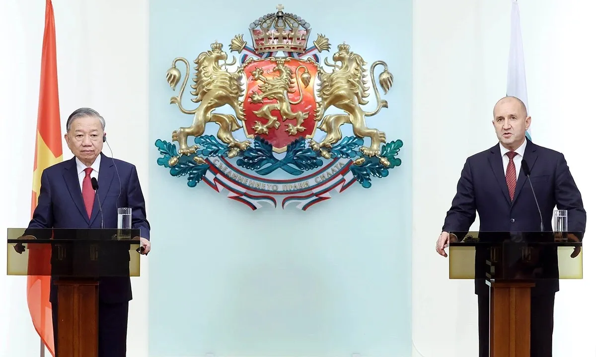 5563187178137269010a-176122892-1735-2210-1761229092