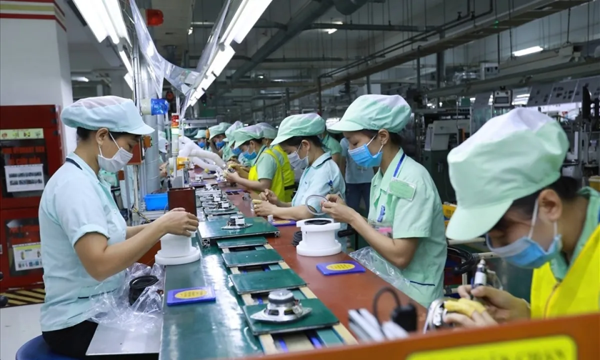 huong-dan-bao-cao-tinh-hinh-su-dung-lao-dong-06-thang-dau-nam-2024-2905082600