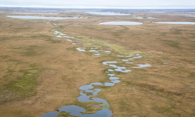 Tổng thống Trump cho phép khai thác dầu khí trở lại tại khu bảo tồn Bắc Cực