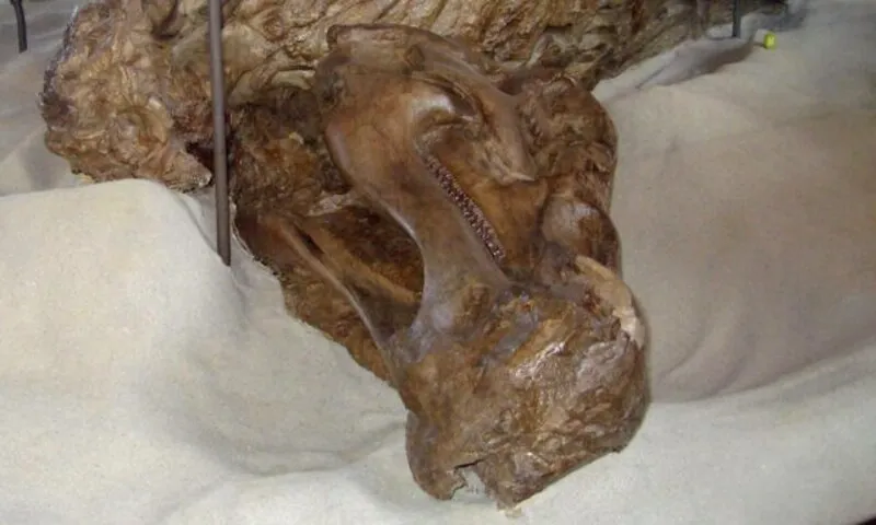 Phát hiện mới hé lộ cơ chế hình thành “xác ướp” khủng long hiếm thấy tại Mỹ