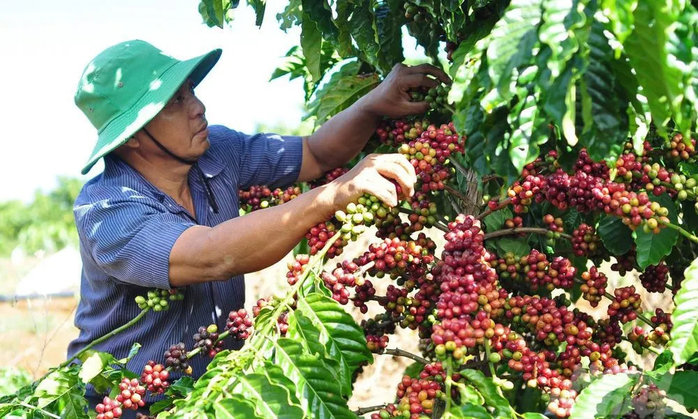 Doanh nghiệp kiến nghị cơ chế hoàn thuế tự động