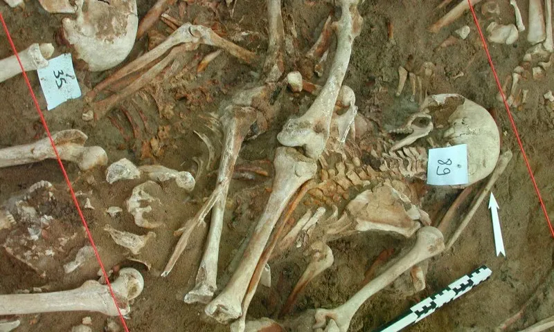 DNA hé lộ nguyên nhân mới khiến quân đội Napoleon diệt vong