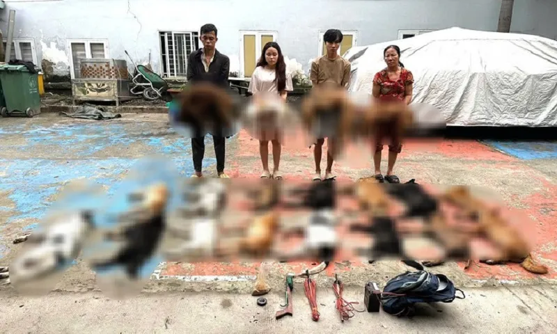 Các đối tượng trong một vụ việc trộm chó bị phát giác - Ảnh CACC