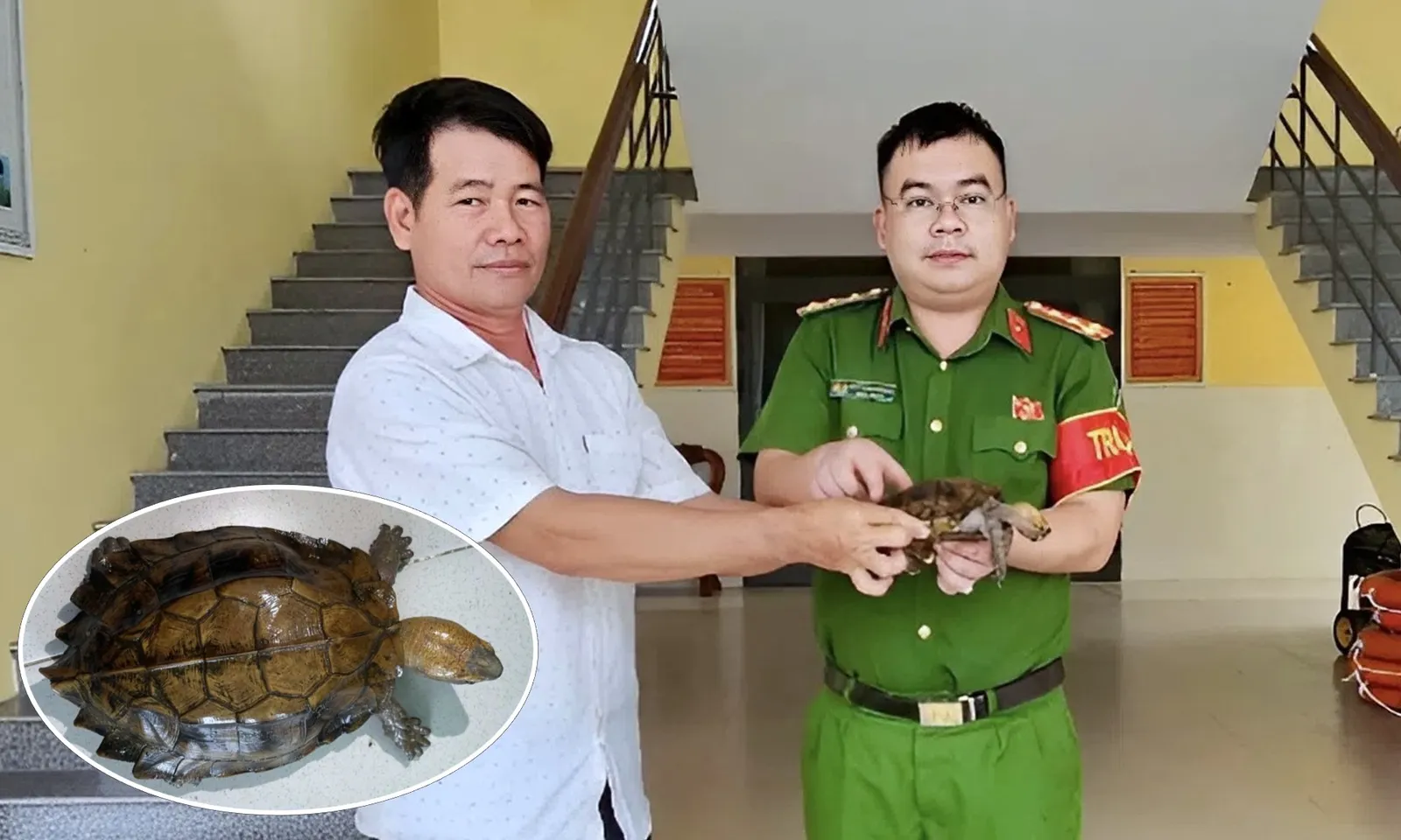 Người dân tự nguyện giao nộp cá thể rùa quý hiếm để thả về tự nhiên