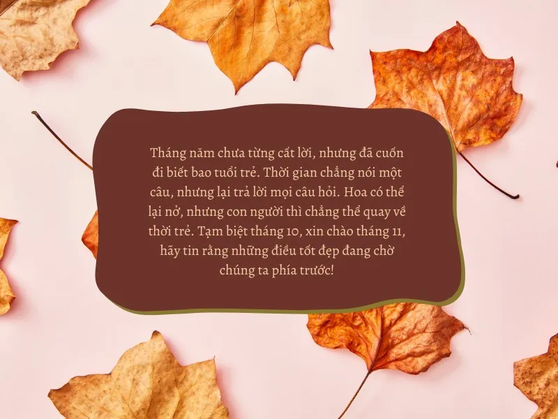 stt-tam-biet-thang10