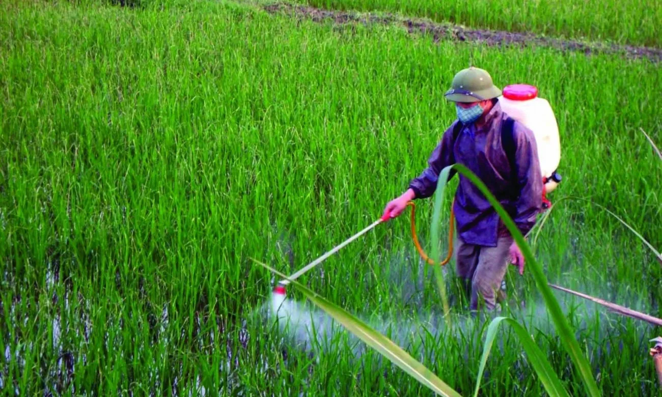 thuoc-tru-sau-moitruongnet