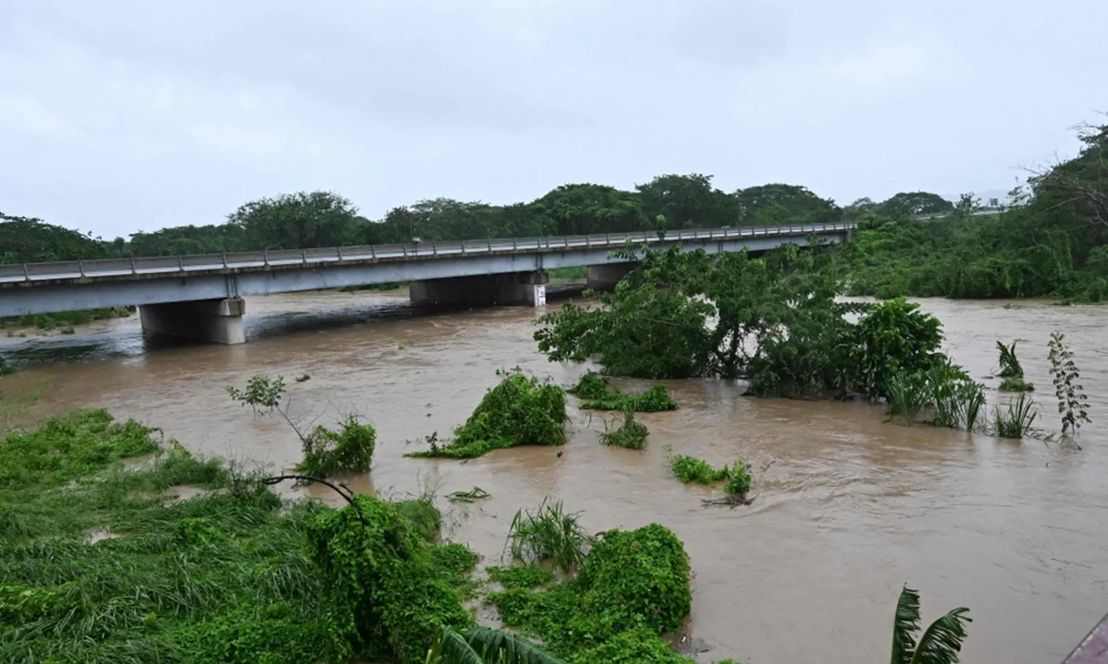 Jamaica cảnh báo người dân cảnh giác với cá sấu do nước dâng cao khi bão lũ