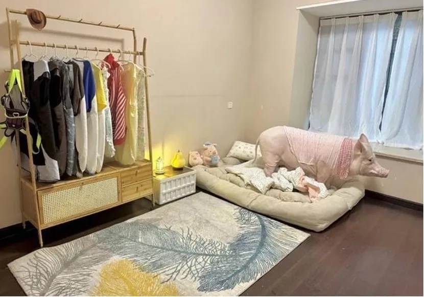 z6735380328854-04aa7ce679ec128-5107-7280-1761887811