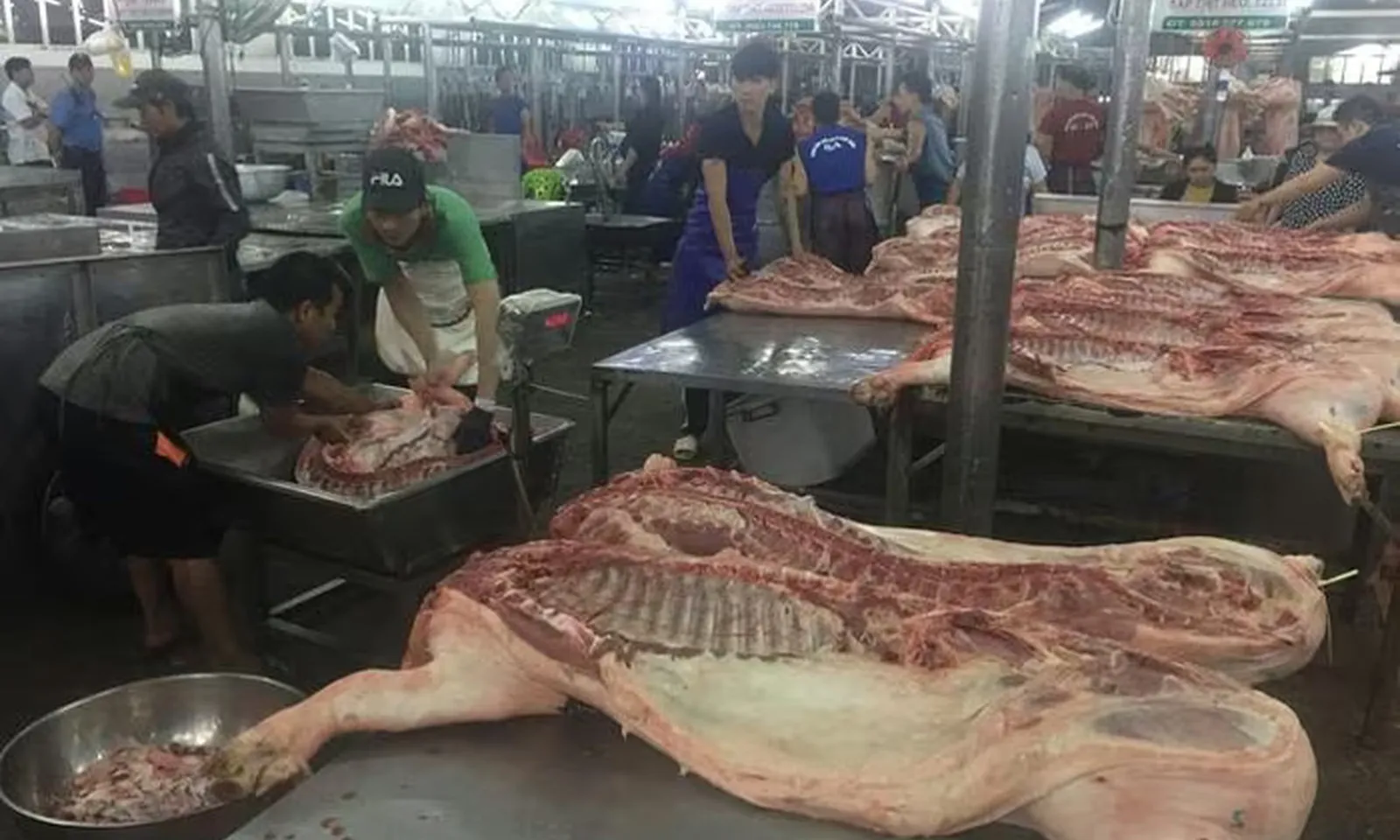 Giá heo hơi 2/11: Tăng nhẹ, thương lái vẫn khó có lãi