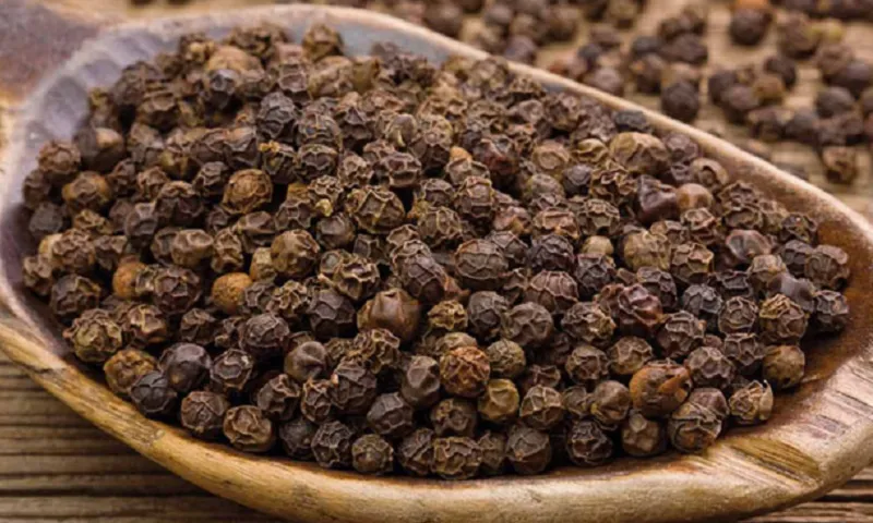 Xuất khẩu hồ tiêu bứt phá mạnh 