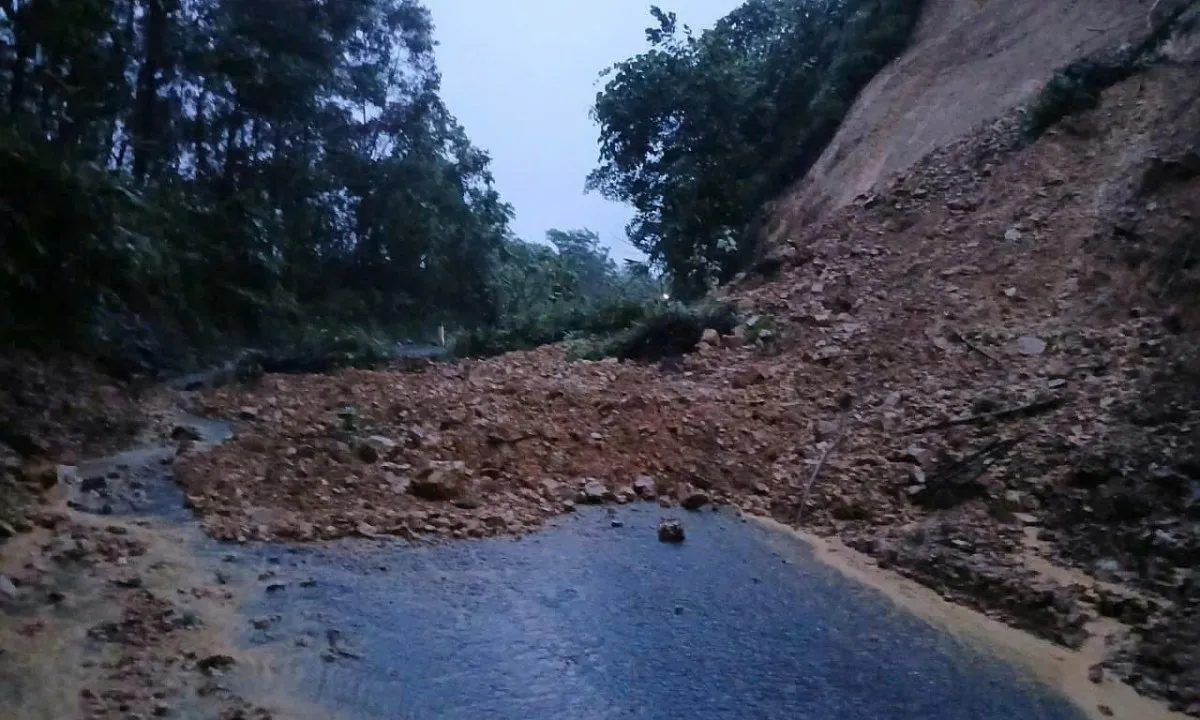 z7183020574131fe54f03072731fcc0953b280e344a37b-17621520419921826945578