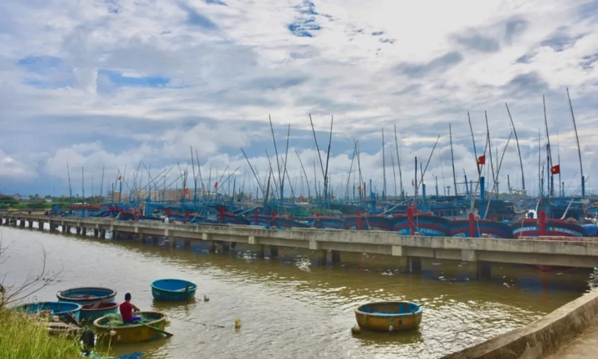 1-850-17622458139311618655800