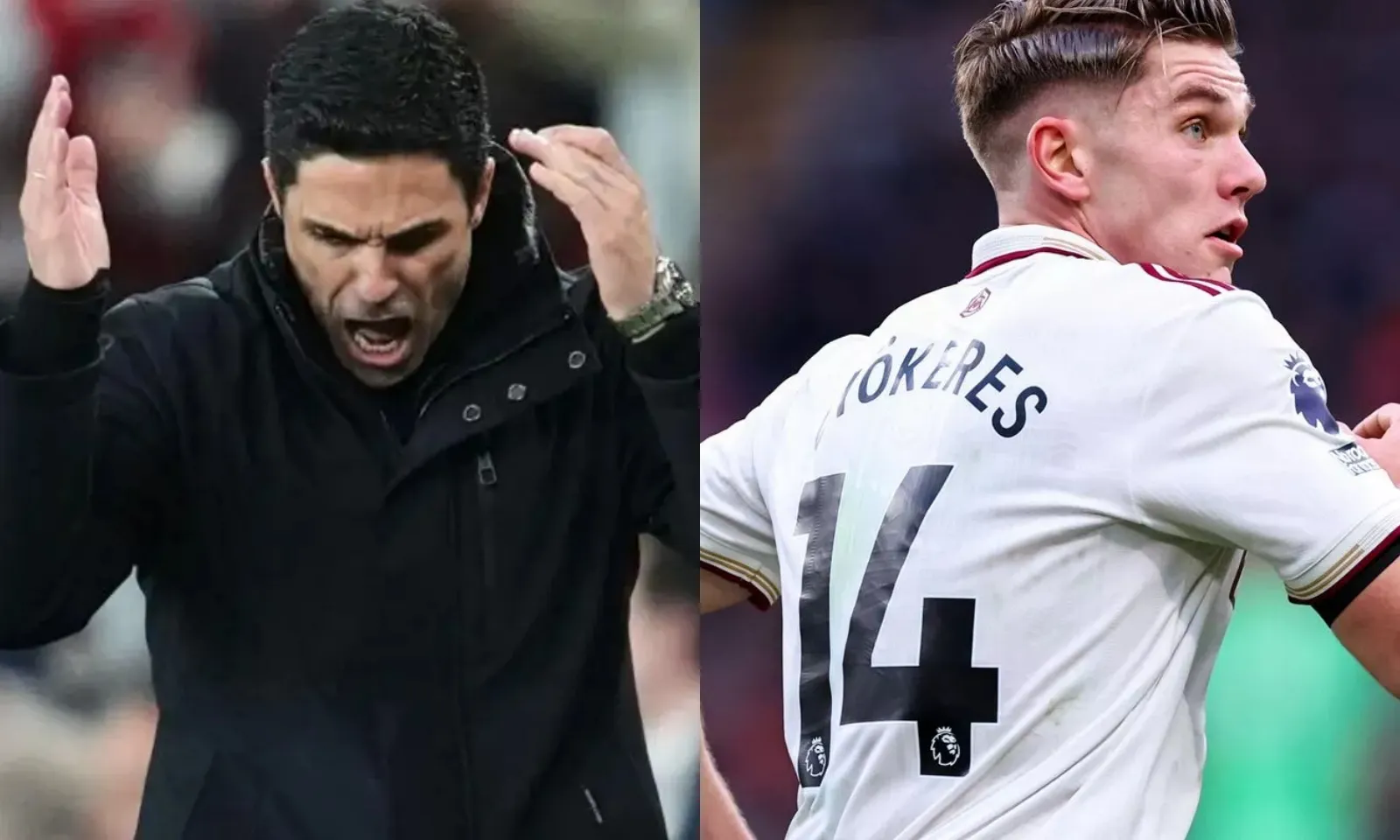 Arteta báo động đỏ về Gyokeres