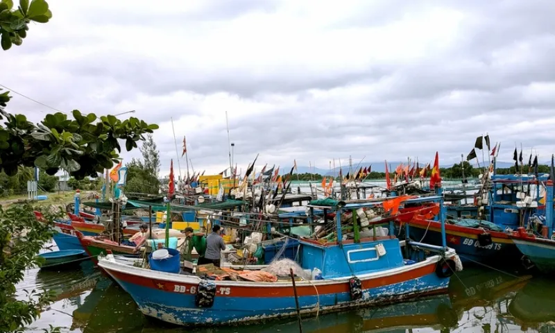 Gia Lai kích hoạt kịch bản ứng phó siêu bão Kalmaegi